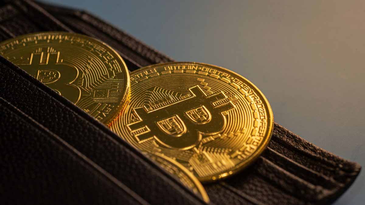cryptomonnaies