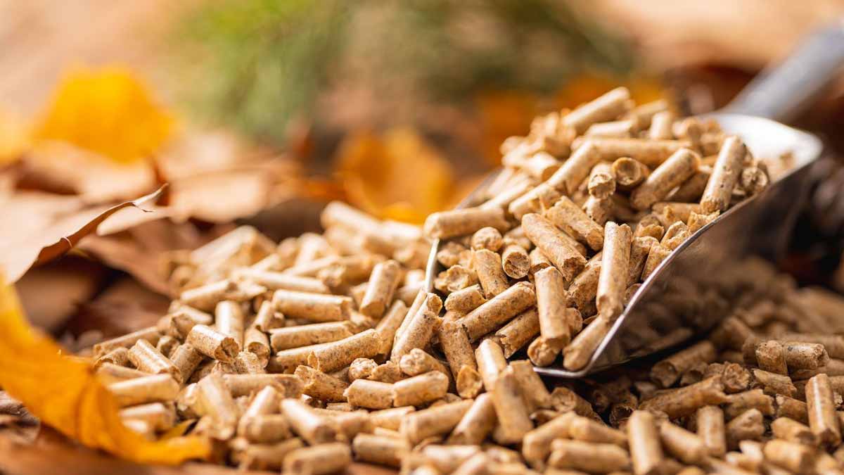 pellets