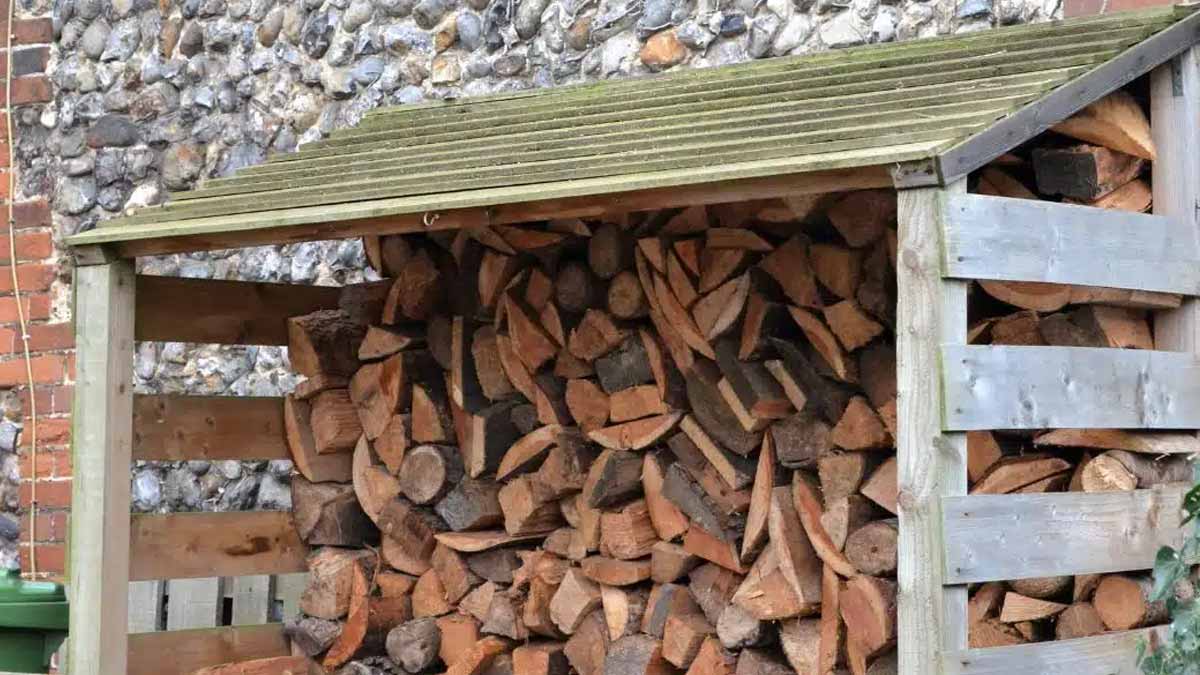 bois de chauffage